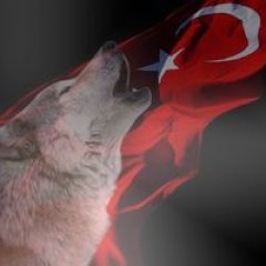 Valorantrandomaccounts profil fotoğrafı