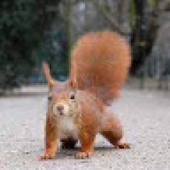 epic games hesap satısı. profil fotoğrafı