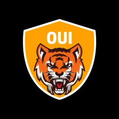OUI OYUN DUNYASI profil fotoğrafı