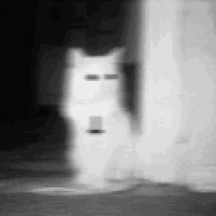 Shixy Store profil fotoğrafı