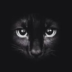 akın profil fotoğrafı