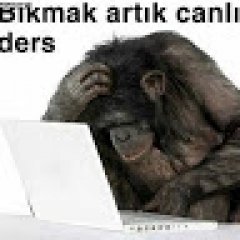 Metin Bozkurt