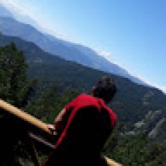 Cicek