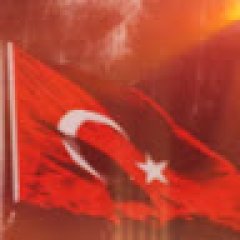 Kullanıcı