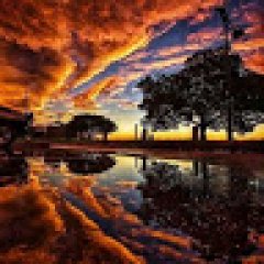 MOBA profil fotoğrafı