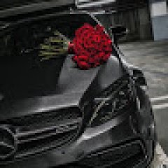 emreturhan profil fotoğrafı