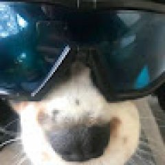 Meumby HD profil fotoğrafı