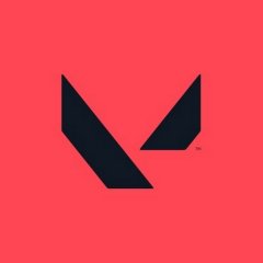 onat şen profil fotoğrafı