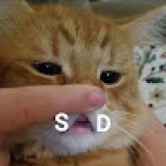 Pubgg hesapp profil fotoğrafı