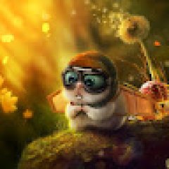 erendilmen profil fotoğrafı