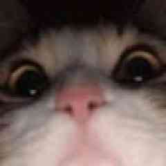 Güven Satış profil fotoğrafı