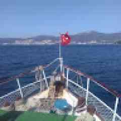 sesam