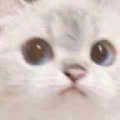 CrooKameron profil fotoğrafı