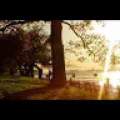 Ryuzaki reO profil fotoğrafı