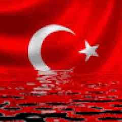 NORMAL DERECE HESAP profil fotoğrafı