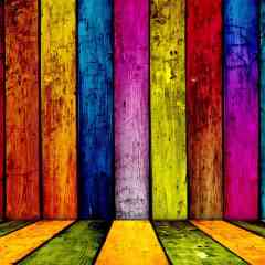 OnlineLisans profil fotoğrafı