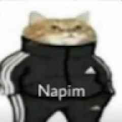 Kullanıcı