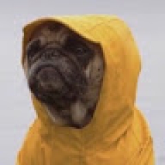 ALZOR profil fotoğrafı