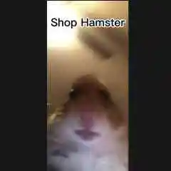 ShopHamster