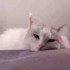 Hesap Satışşş profil fotoğrafı