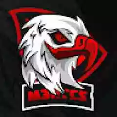 Tnr0k profil fotoğrafı