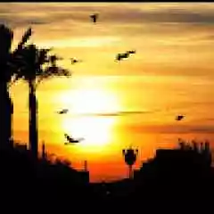 BrkyMdn30lvlunranked profil fotoğrafı