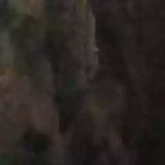 Kurt Shop profil fotoğrafı