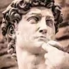 Dsg satış profil fotoğrafı