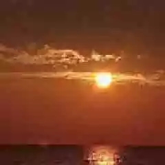 Pet similator mazasi