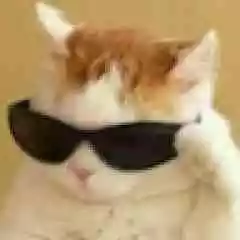 Bugra profil fotoğrafı