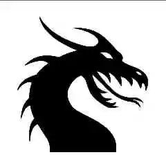 DRAGON Shop profil fotoğrafı