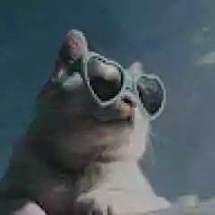 Reptoer profil fotoğrafı