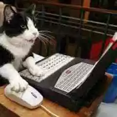 kedigames profil fotoğrafı