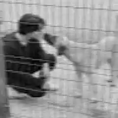 khoraalden profil fotoğrafı