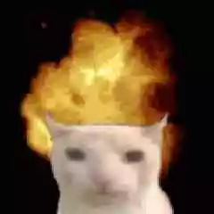 Tyafga2 profil fotoğrafı