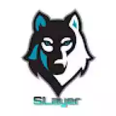 W1se_ profil fotoğrafı