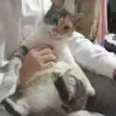 SanveraShop profil fotoğrafı