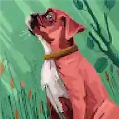 Ardsteam profil fotoğrafı