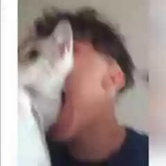 ahde profil fotoğrafı