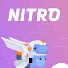 NitroShop profil fotoğrafı