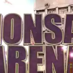 Lionsafarena Shop