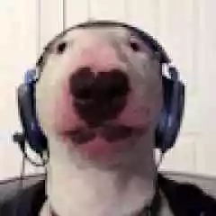 MEMATİ MARKET profil fotoğrafı