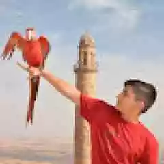 Kullanıcı