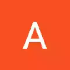 alisina3833 profil fotoğrafı