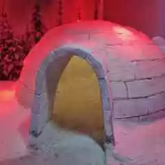 zimvarch profil fotoğrafı