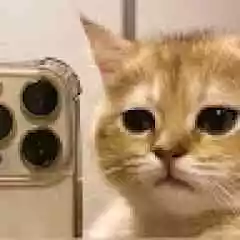 HESAP.az profil fotoğrafı