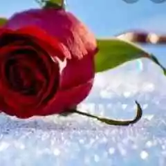 Legendray store profil fotoğrafı