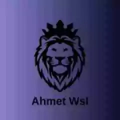 AhmetWsl profil fotoğrafı