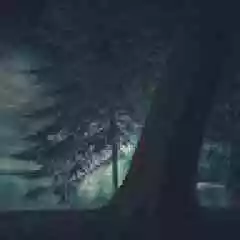 vconixx profil fotoğrafı