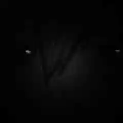 roblox seller profil fotoğrafı